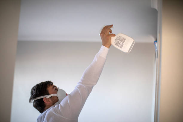 Best Mold Removal Near Me  in Black Point Green Point, CA